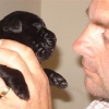 pups_2_weeks_old_062-medium pups_2_weeks_old_062-medium