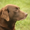 img_7778 img_7778