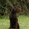 img_5914-medium img_5914-medium