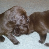 3weeks-medium 3weeks-medium