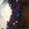 ruthmockiemollytombabies-medium ruthmockiemollytombabies-medium