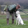 training-4 training-4