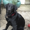 barney_5th_october_003-medium