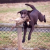 malliejumpbird malliejumpbird