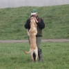 img_3754 img_3754