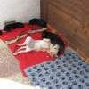 img_1282-medium img_1282-medium