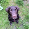 bertie_june_12 bertie_june_12